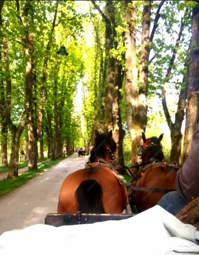 Mers cu Trăsura